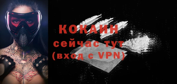 мдпв Магас
