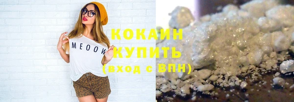 мдпв Магас