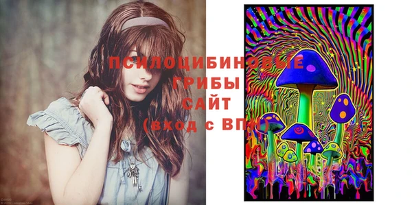мдпв Магас