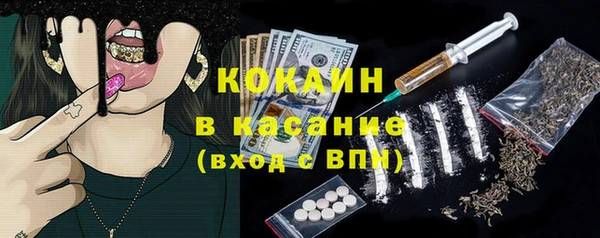 мдпв Магас